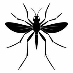 insect, dragonfly, fly, isolated, animal, bug, nature, macro, mosquito, cartoon, wing, white, closeup, vector, wings, flying, wasp, green, pest, illustration, summer, wildlife, insects, bee, black