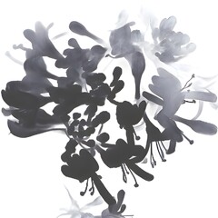 A silhouette of honeysuckle flowers