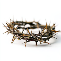 Crown of thorns isolated on transparent or white background