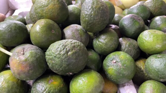 a lot of green Vietnamese oranges on the counter in store citrus fruits hanging on a branch, surrounded by glossy leaves. Captured outdoors in natural light, highlighting the vibrant and fresh details