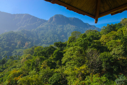 Scenic view of a mountaineous jungle in Coonoor (Tamil Nadu, India)