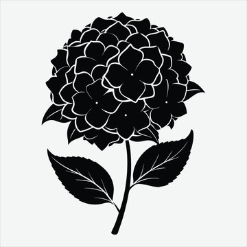 black hydrangea flower silhouette on white clip art preview