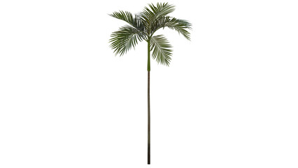 Tropical Tree