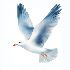 Fototapeta premium Watercolor illustration of a cute little Seagulls in flight. isolated on a white background