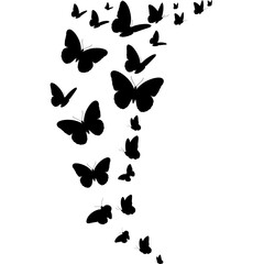 Butterflies Flying Silhouette