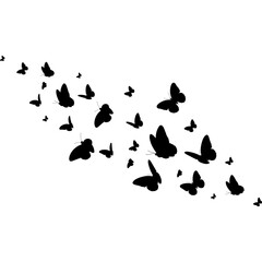 Butterflies Flying Silhouette