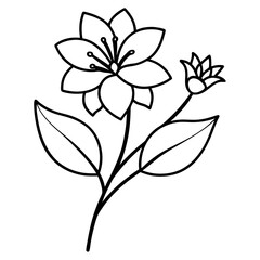 Minimal Free-Flowing Florals Vector on White