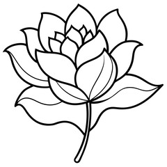 Minimal Free-Flowing Florals Vector on White