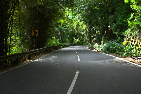 road in the dense tropical forest