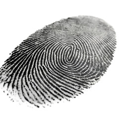 Fingerprint Black On White Background