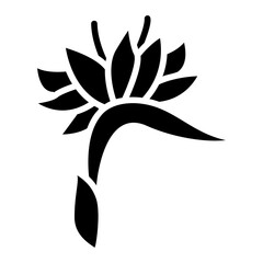 bird of paradise Solid icon