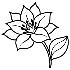 Minimal Wild Bloom Vector on White