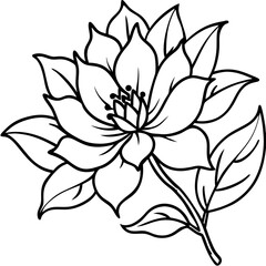 Minimal Wild Bloom Vector on White