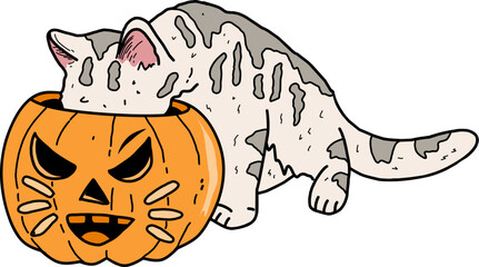 illustration of a cute cat looking at the contents of a pumpkin