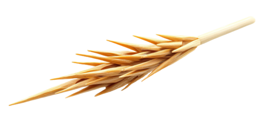 Prophet�s Toothpick (Miswaak) for Sunnah Practices - Isolated on White Background