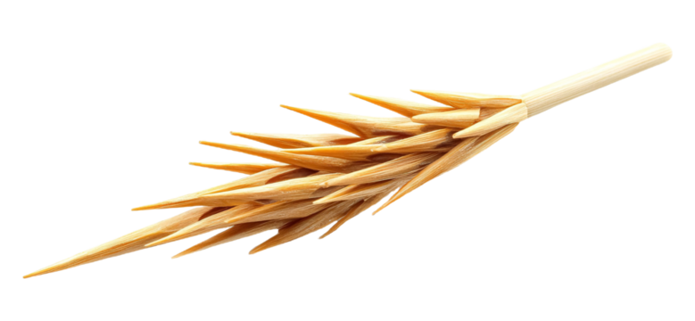 Prophet�s Toothpick (Miswaak) for Sunnah Practices - Isolated on White Background