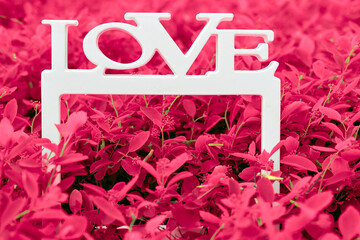 White frame with the inscription love on pink red