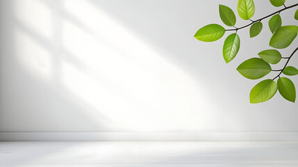 Empty white gray room studio with leaves shadow overlay effect for product presentation display. Cosmetic beauty fashion showroom.