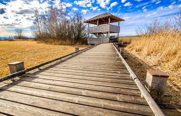 Scenic wooden walkway leads to an observation tower amid golden grasses and blue skies on a sunny...