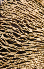 Textured surface of layered cardboard showcasing intricate patterns and shadows in an artistic display, ideal for design inspiration and material studies