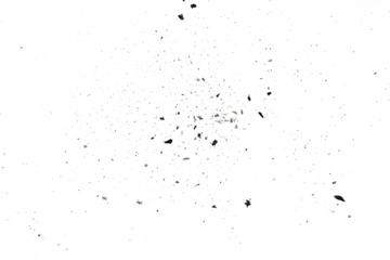 sand particle on white background isolated