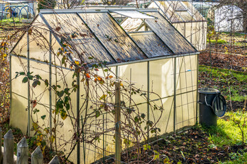 Greenhouse situated in a lush garden, surrounded by vibrant greenery and blooming flowers during...