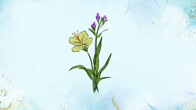Flower Animation Element 05