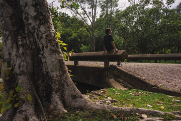 wellness concept with asian man exercise with tree in park on summer season