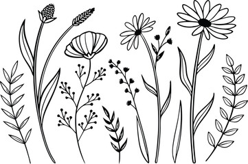 Boho Wildflower Clipart Set for Creative Projects. Hand Drawn Boho Wildflower Clipart Set for Designers. Elegant Boho Wildflower Clipart Set for Printable. Wildflower Clipart Set for Invitations
