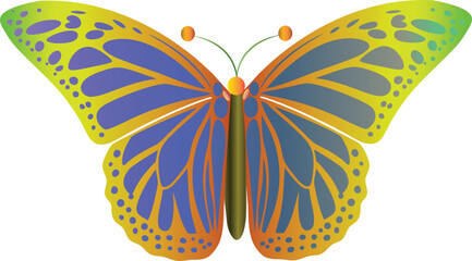 Multicolor butterfly vector on transparent background. Delicate Colorful Butterfly Sketch Minimalist Line Art Design Featuring  Artistic Insects for Nature-Inspired Wall Decor, Stationery, Tattoos.
