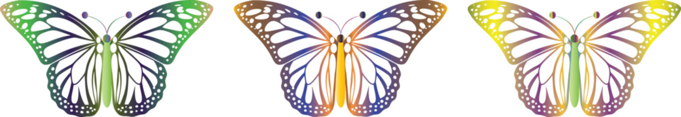 Multicolor butterfly vector on transparent background. Delicate Colorful Butterfly Sketch Minimalist Line Art Design Featuring  Artistic Insects for Nature-Inspired Wall Decor, Stationery, Tattoos.