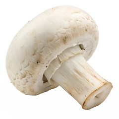 Whole White Button Mushroom with Stem