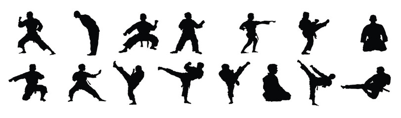  Set of martial arts poses for artwork compositions
