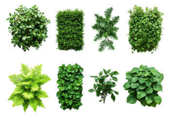 Sections of green vertical garden walls bring natural beauty and eco design to modern spaces