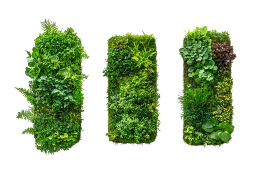 Vertical garden wall sections offer a fresh and sustainable way to decorate indoor or outdoor areas