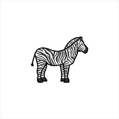 zebra vector illustration