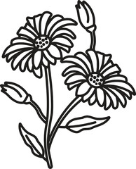 Floral Illustration Pack – Wild Flowers & Leaves Vector Graphics