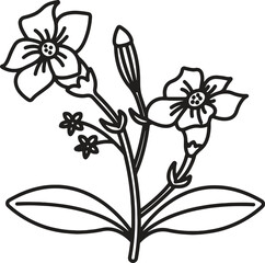 Floral Illustration Pack – Wild Flowers & Leaves Vector Graphics