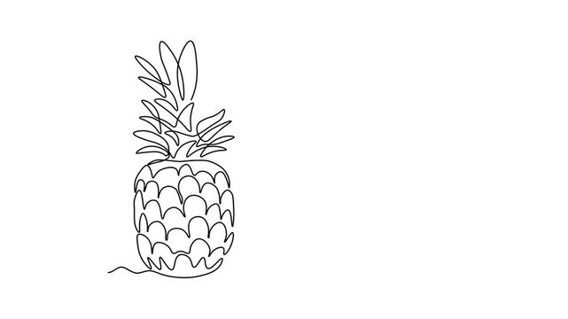 Abstract Pina Colada cocktail and pineapple fruit and slice, ananas, Self drawing animation one continuous line draw, logo