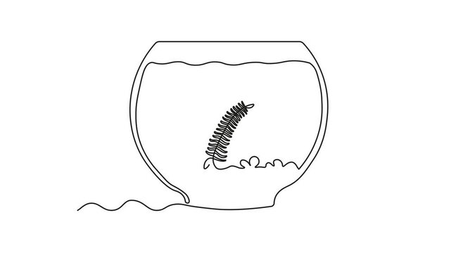 Abstract aquarium with algae, seaweed. Self drawing animation one continuous line draw, logo