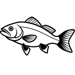 Minimal Barramundi Fish Vector on White