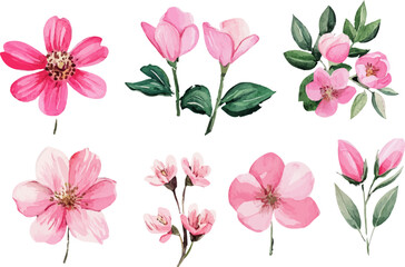 set of pink flowers