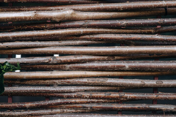 Wooden sticks arranged in a pattern on a surface in a natural setting during daytime