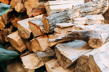 Firewood stacked neatly for outdoor use in a cozy setting during the day