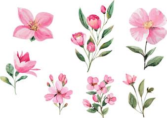 seamless pattern with pink flowers