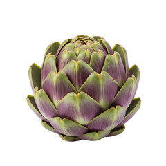 Artichoke's Texture: Green, Purple, Isolated Background