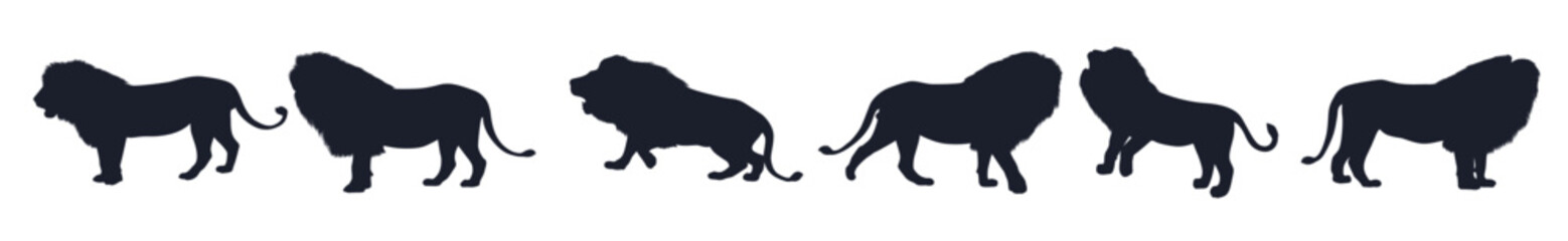 Collection of animal Lion in different positions