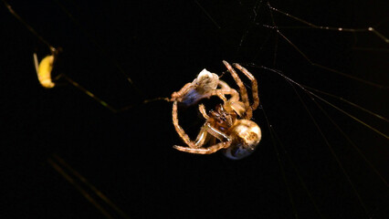 Sunset over calm sea with boats on horizon, golden sky seascape nature background