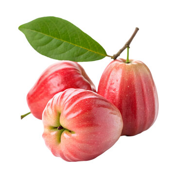 Rose Apples: Fresh, Juicy, and Delicious Rose Apple Images on transparent background