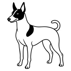 Minimal Basenji Dog Vector on White